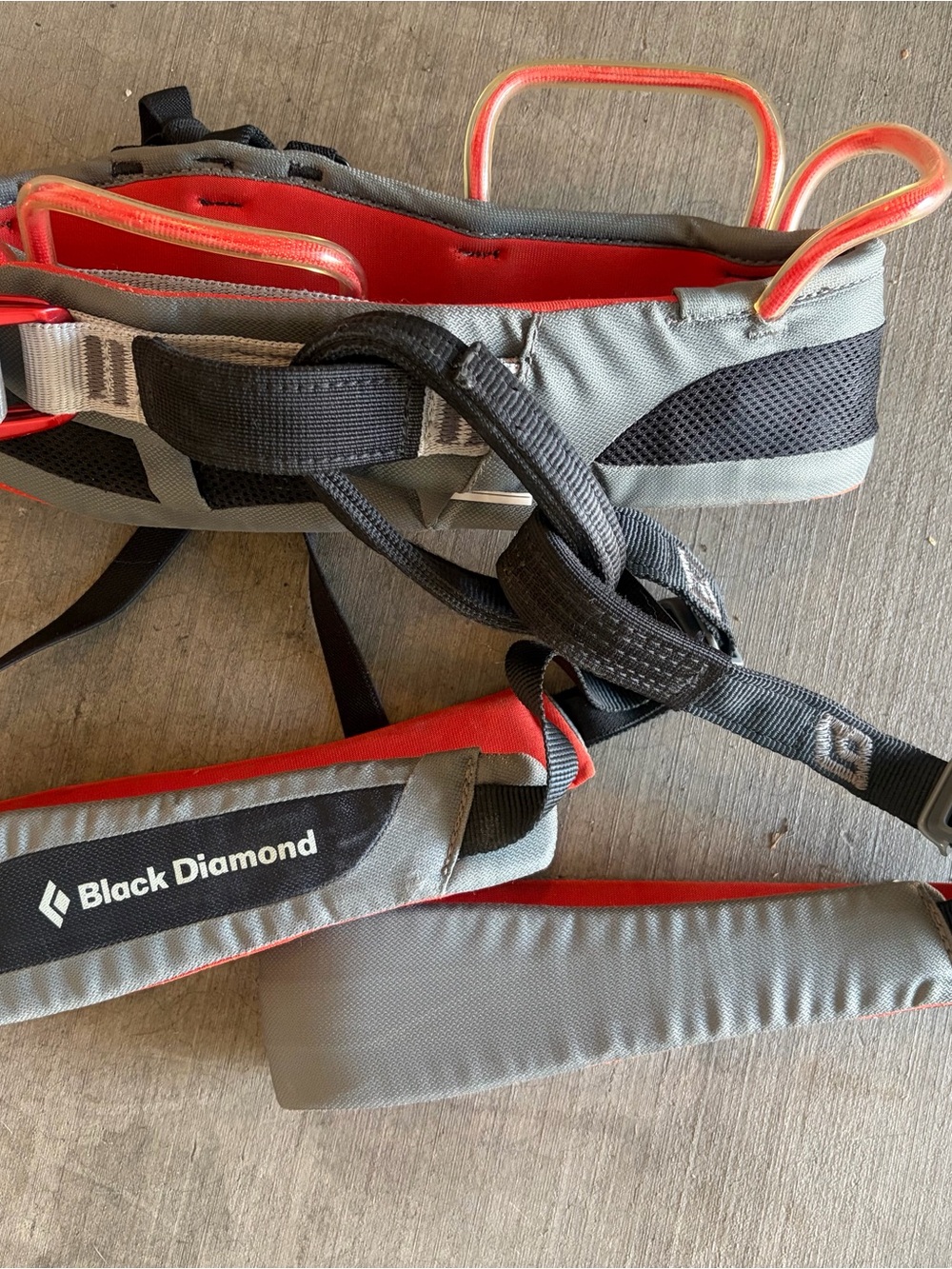 Black Diamond Climbing Harness in Gray with Red Trim